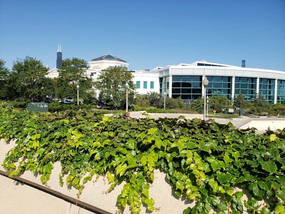 3 Steps to Guaranteed Full Scholarships in America for International Students