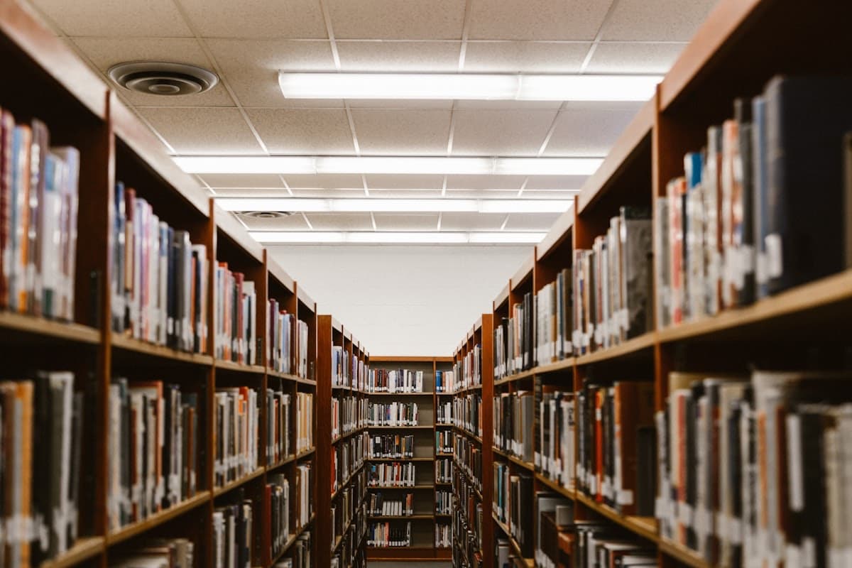 60+ American Universities with Full Scholarships for International Students (2026)