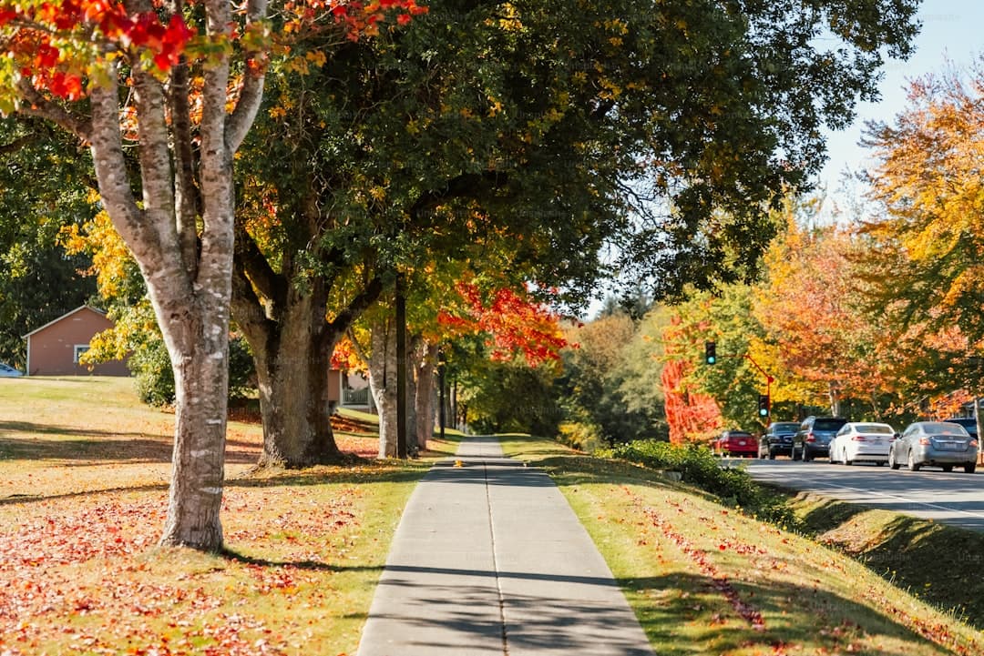 7 Canadian Universities Offering 100% Scholarships to International Students