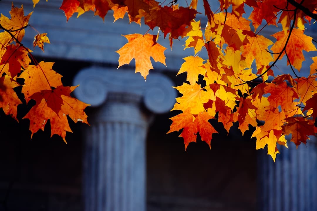Princeton University Full Scholarship for International Students 2026