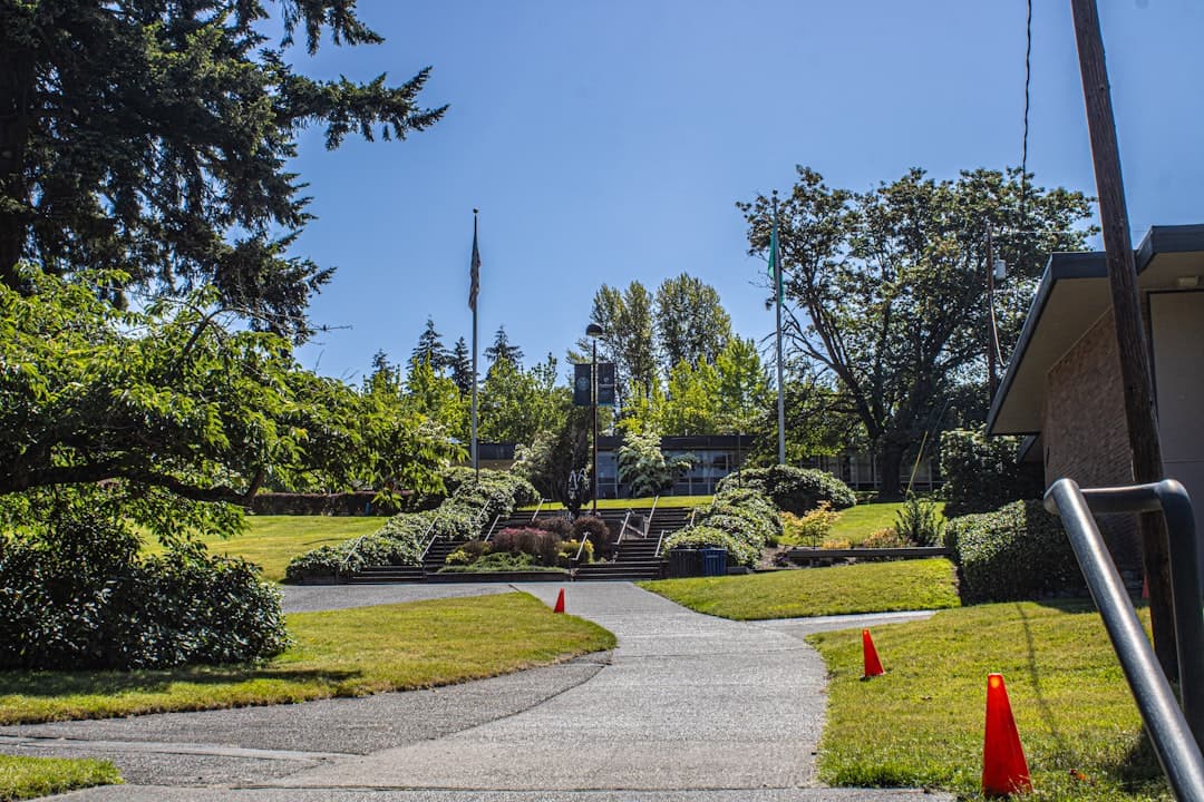 Why Smart International Students Should Immigrate to America in 2026